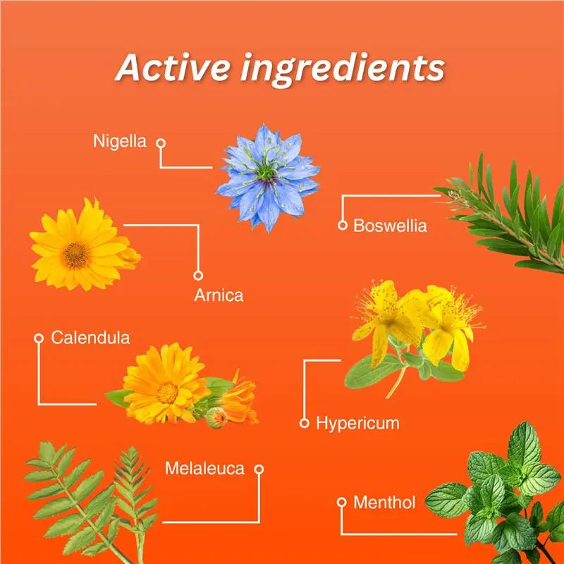 Illustration of various plants found in fisiocrem joint ease with their names on an orange background