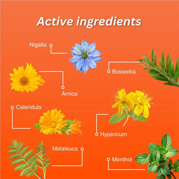 Illustration of various plants found in fisiocrem joint ease with their names on an orange background