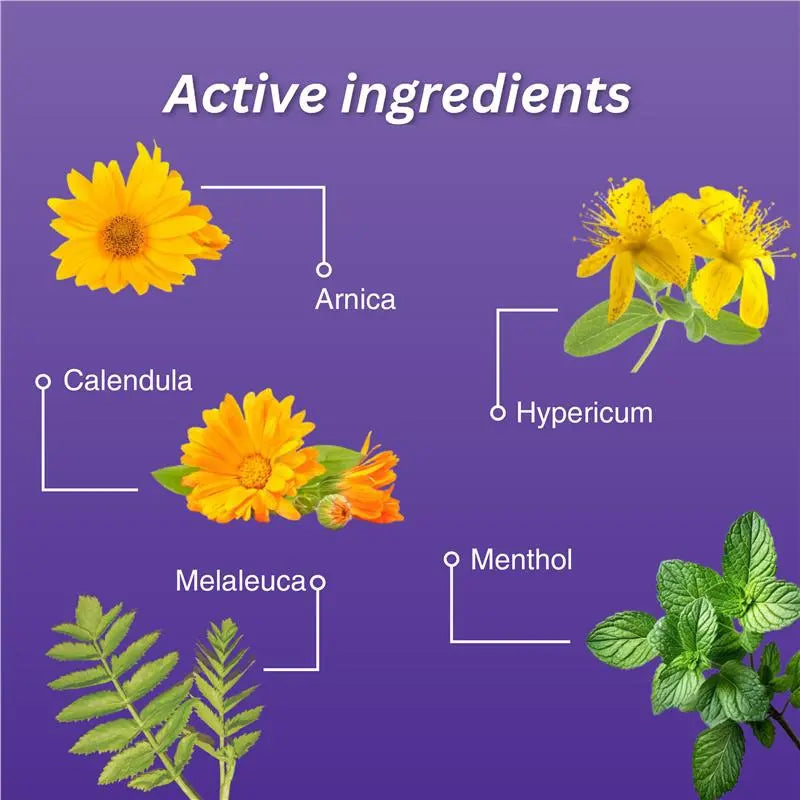Illustration of active ingredients od fisiocrem solugel including Arnica, Calendula, Hypericum, Melaleuca, and Menthol on a purple background.